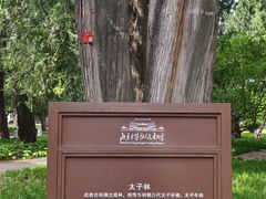 -北京市劳动人民文化宫(太庙)