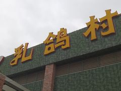 -石岐乳鸽村(南海第三分店)