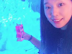 -芜湖新华联大白鲸海洋公园