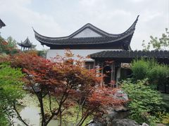 -芥子园