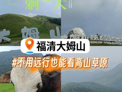 -大姆山草场