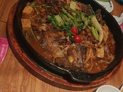 -老板恋上鱼(恒隆广场店)