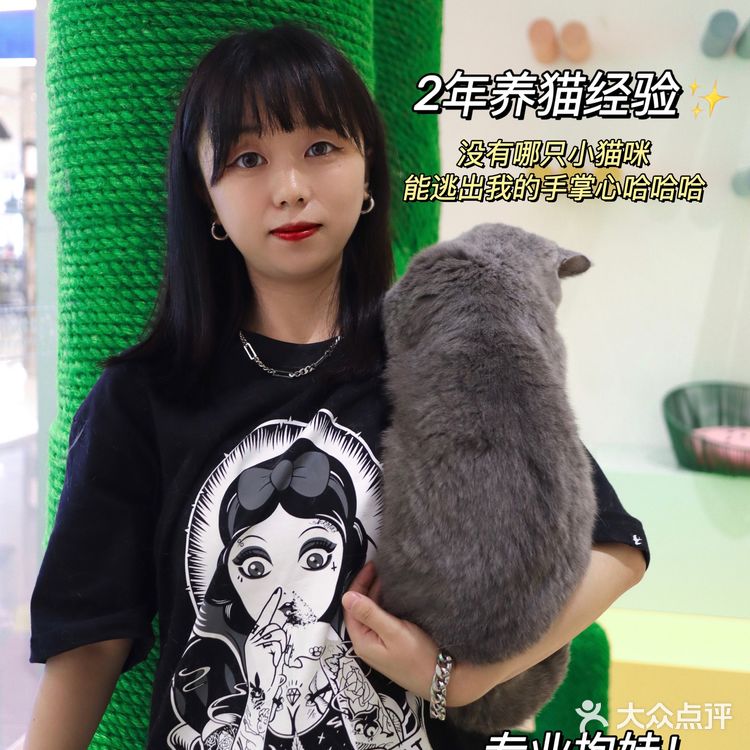 2年养宠经验宠物博主‼️都难逃过未卡猫空间