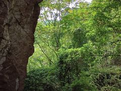 -云岫谷游猎自然风景区