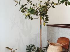 -肥朵食堂(带梦胡同店)