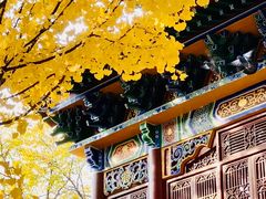 -宝通禅寺