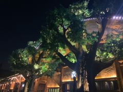 -杭州开元森泊度假乐园