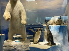 -国家自然博物馆