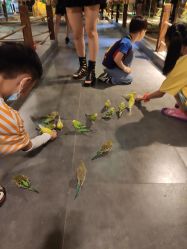 -酷嗒动物文化乐园(cutezoo西溪乐天城店)