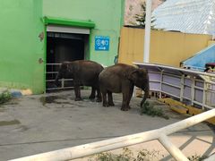 -大连森林动物园