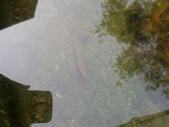 android_upload_pic-旺山景区