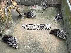 -呀诺达热带雨林