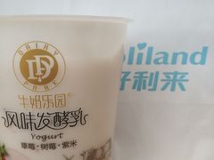 -好利来.生日蛋糕(杨家坪店)