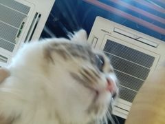 -白兔子密室(长寿路店)