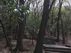 -紫金山山顶公园
