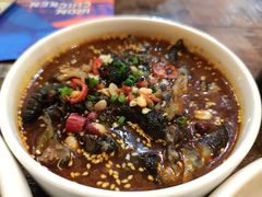 -铁公鸡·四川料理(天环广场店)