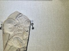 -辽宁古生物博物馆