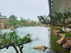 -罗红摄影艺术馆