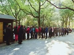 -共青国家森林公园-售票处
