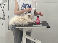 -comecome来吧宠物(奥克斯中心店)