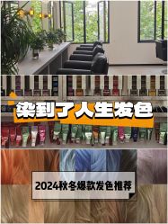 -蚂蚁造型俱乐部