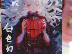 -永夜方舟·捉迷藏·二次元密室
