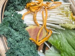 -春润大地海南椰子鸡(沙井京基百纳广场店)