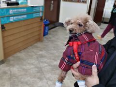 -美联众合动物医院·24h转诊中心