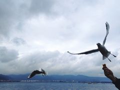 -海埂大坝