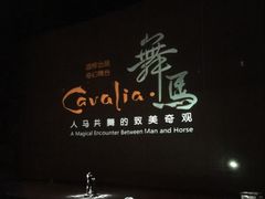 -cavalia·舞马