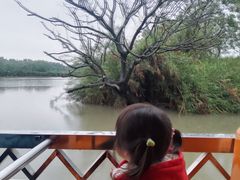 -大湾区中央湿地公园