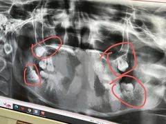 -维乐口腔(格林门诊长宁店)