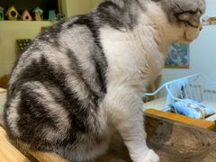 -小时光咖啡馆(开森度假森林店)