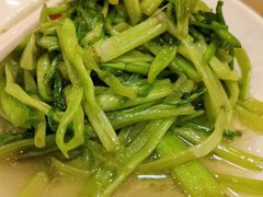 炒水芹菜-老苏州茶酒楼