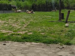 -沈阳森林动物园