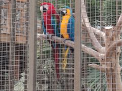 -南宫五洲植物乐园