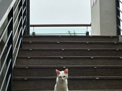 -千岛湖东南湖区