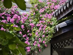 -金谷里艺术馆