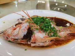 清蒸珍珠立-黄埔华苑酒家(黄埔总店)