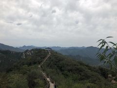 -大岭沟猕猴桃谷风景区