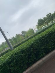 -HEYAN长风荷妍专业脱毛美肤
