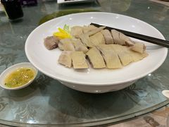 海南牧榕文昌鸡-新兴家喻酒家·羊城名宴(昌岗店)