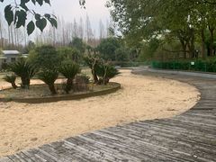 -黄兴公园
