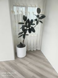 -HEYAN荷妍专业脱毛连锁机构