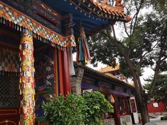 -大召寺明清一条街