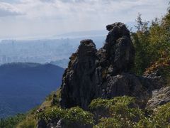-长虫山生态公园风景林