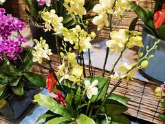 -双季花艺园艺市场(浦东店)