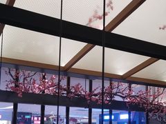 -老板恋上鱼(荣盛广场店)