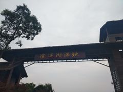 -泗洪洪泽湖湿地景区