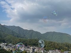 -龙坞茶村